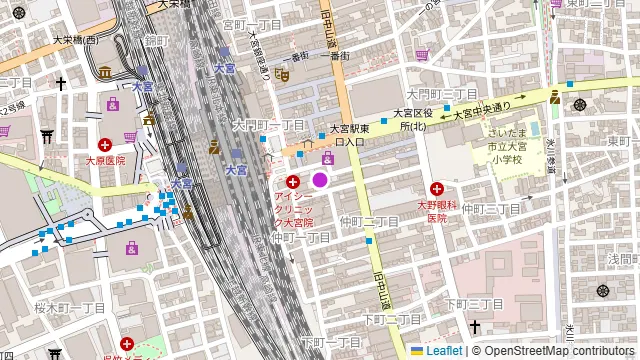 いかの墨 大宮店の周辺地図