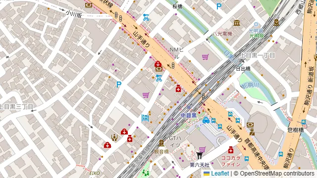NAKAMEGURO TERRACE(中目黒テラス)の周辺地図