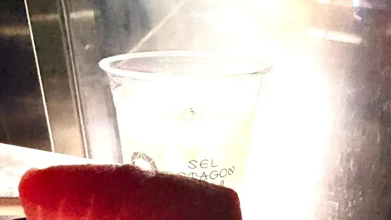 SEL OCTAGON TOKYO