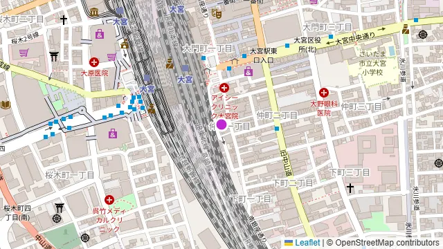 バグース 大宮店(BAGUS Omiya)の周辺地図