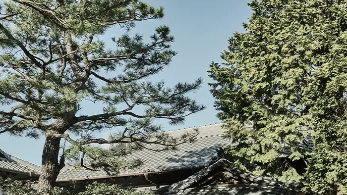 高宮庭園茶寮（たかみやていえんさりょう）