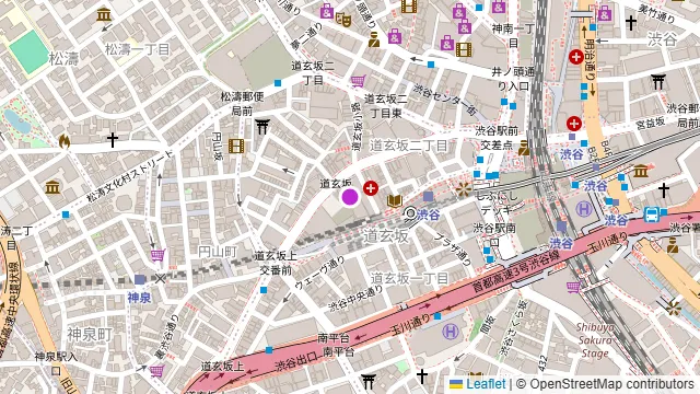 渋谷ガーデンルーム4Fの周辺地図