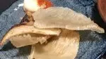 博多もつ鍋 エビス 蒲田店