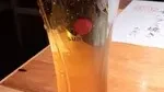 博多屋台 中洲流