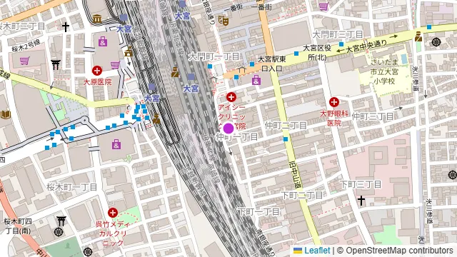 ダイニングダーツバー Bee 大宮店の周辺地図