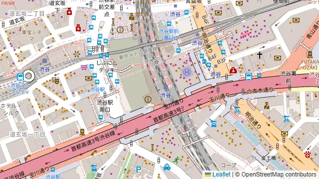 グレースバリ 渋谷グランデの周辺地図