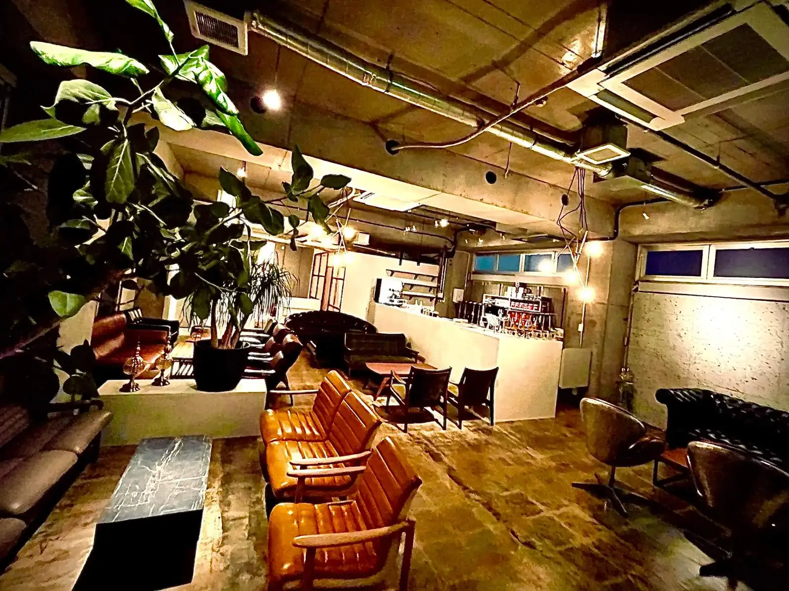 NORTH VILLAGE 六本木VIP店