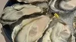 ジャックポット恵比寿