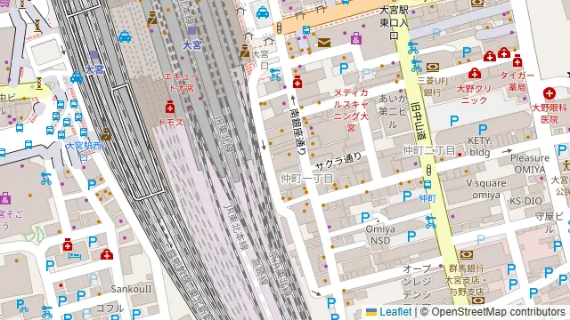 ダイニングダーツバー Bee 大宮店の周辺地図