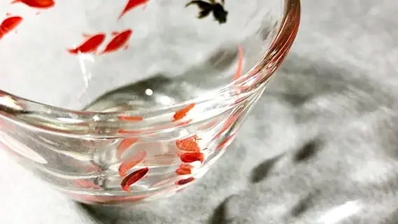 エフガーデン恵比寿南