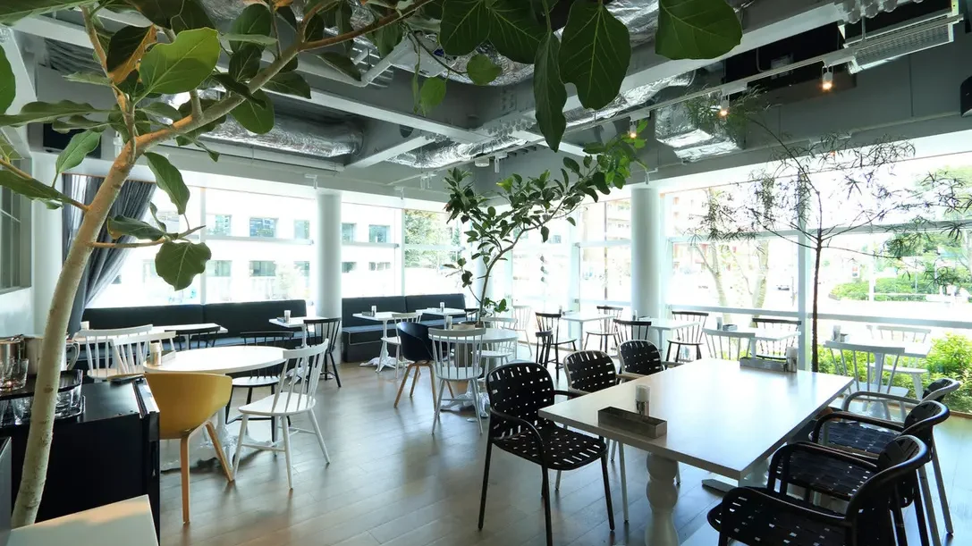 Cucina Caffe OLIVA 高田馬場