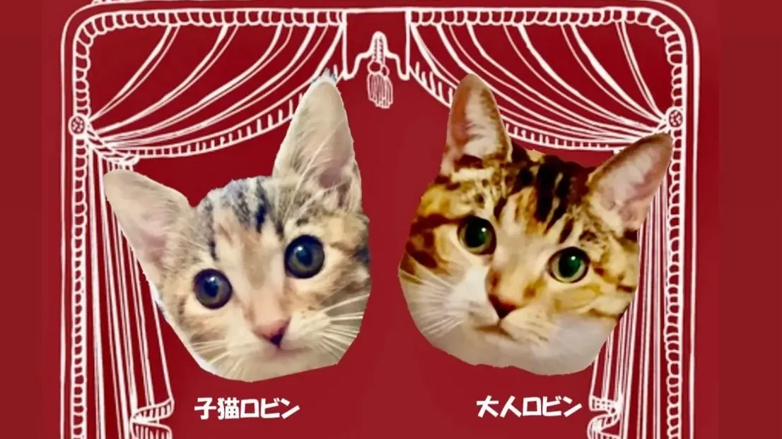 東京ロビン