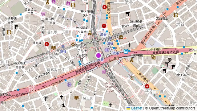 グレースバリ 渋谷グランデの周辺地図