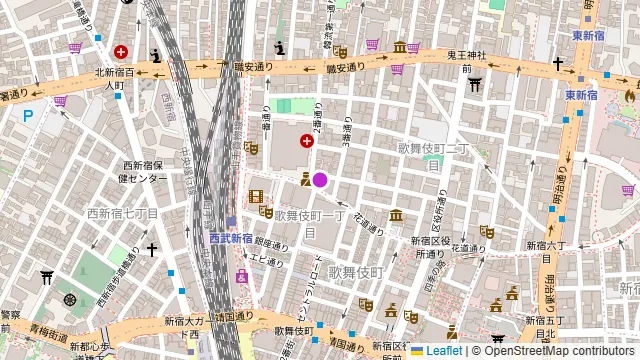 ルーキャステル新宿店の周辺地図