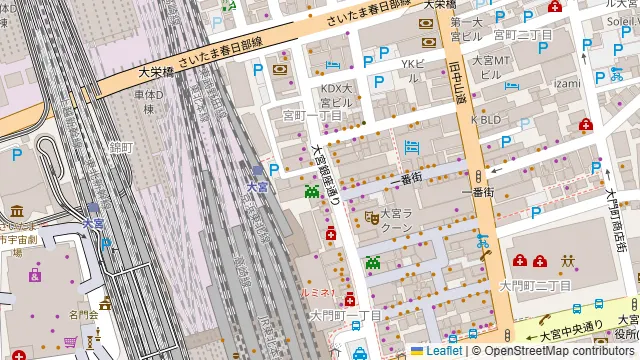 貸切パーティー&Wedding二次会会場 DPS 大宮の周辺地図