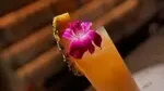 Asian Dining TamTam